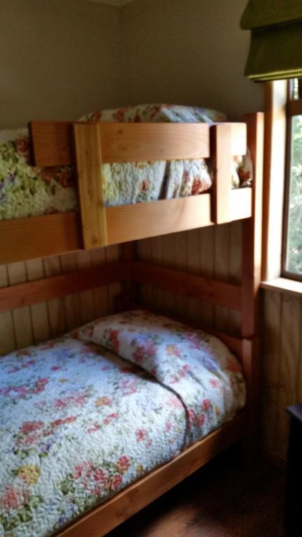 Apartmán Complejo Buenavista Pucón Pokoj fotografie